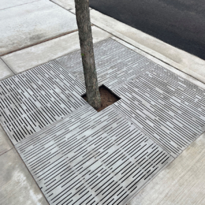 Raw cast aluminum tree grate in decorative Rain pattern from Iron Age Designs. Streetscape installation.