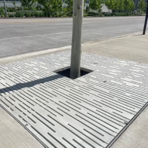 Raw cast aluminum tree grate in decorative Rain pattern from Iron Age Designs. Streetscape installation.